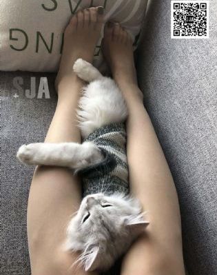 八戒影院在线_BD在线视频播放