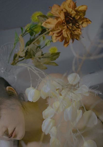 北条麻妃免费观看_高清电影完整版